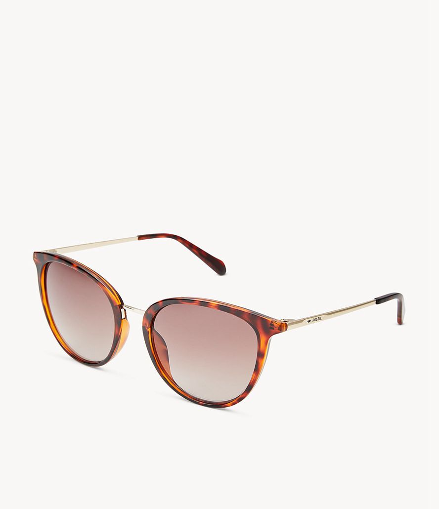 Fossil Lyla Cat Eye Solbriller Dame Brune | QGZOYV-937