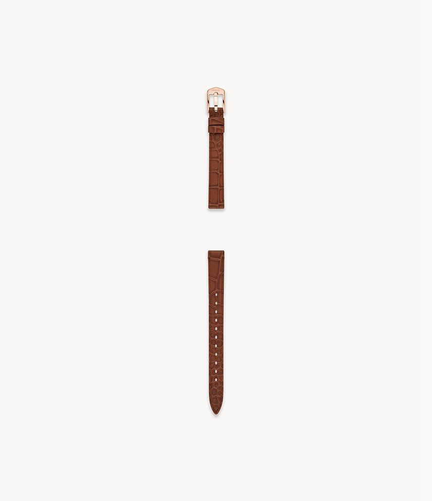 Fossil 12mm Eco Læder Urremme Dame Brune | ZNVBED-654