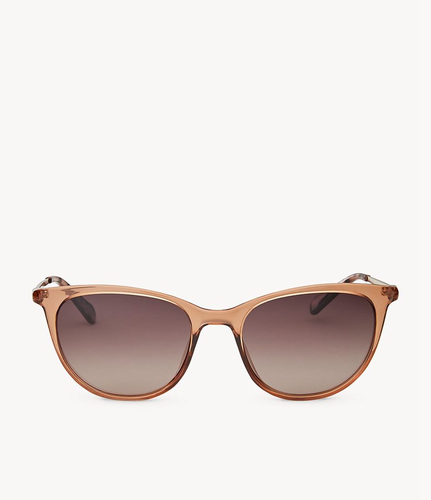 Fossil Sandra Cat Eye Solbriller Dame Brune | YAQNTX-312